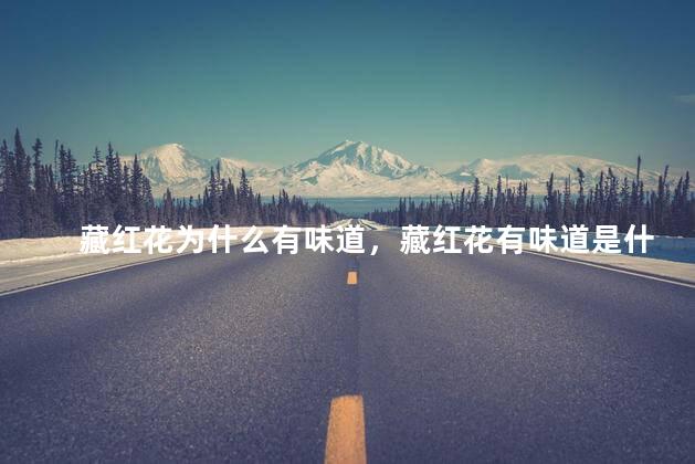 藏红花为什么有味道，藏红花有味道是什么原因
