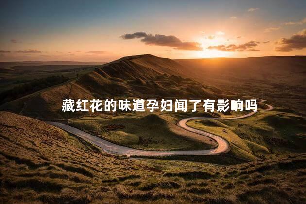 藏红花的味道孕妇闻了有影响吗，藏红花孕妇闻了会怎样