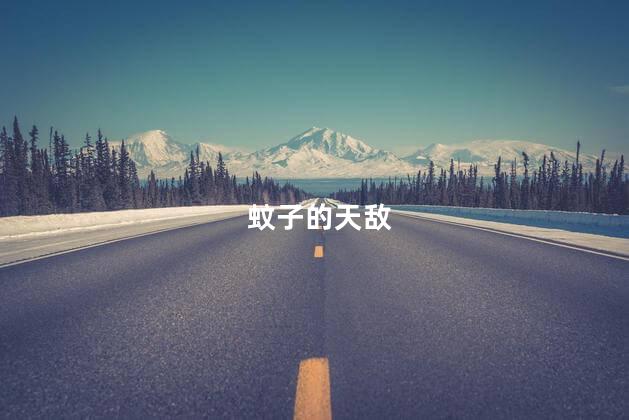 蚊子的天敌，蚊子的天敌有哪些