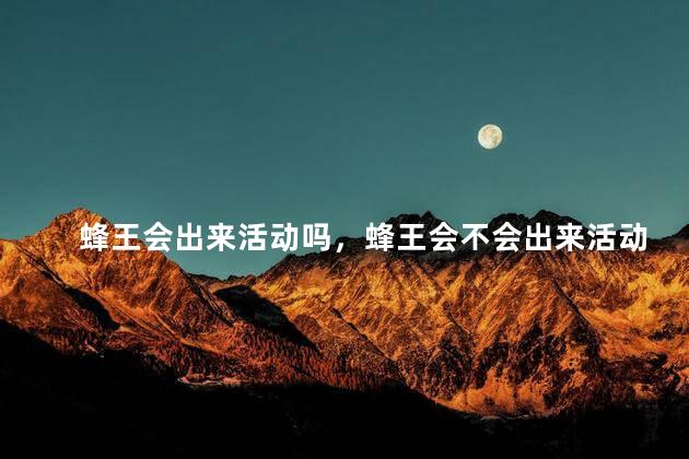 蜂王会出来活动吗，蜂王会不会出来活动呢