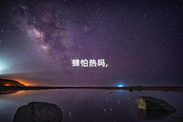 蝉怕热吗，蝉怕太阳吗