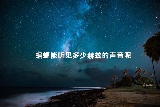 蝙蝠能听见多少赫兹的声音呢，蝙蝠能听到多少分贝