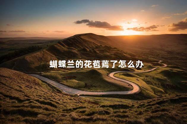 蝴蝶兰的花苞蔫了怎么办,蝴蝶兰的花苞蔫了怎么补救