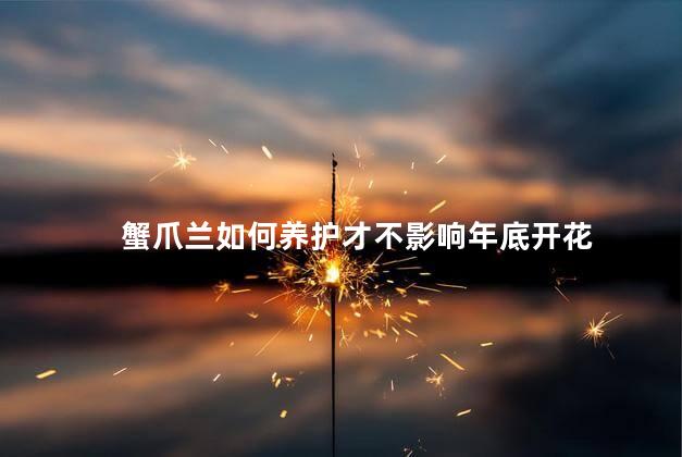 蟹爪兰怎么养才能开花不断，蟹爪兰如何养护可以花期不断