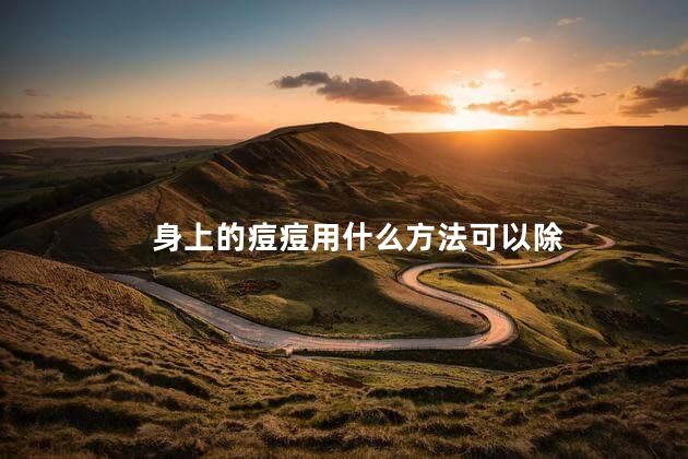 身上的痘痘用什么方法可以除,身上的痘痘怎么消除