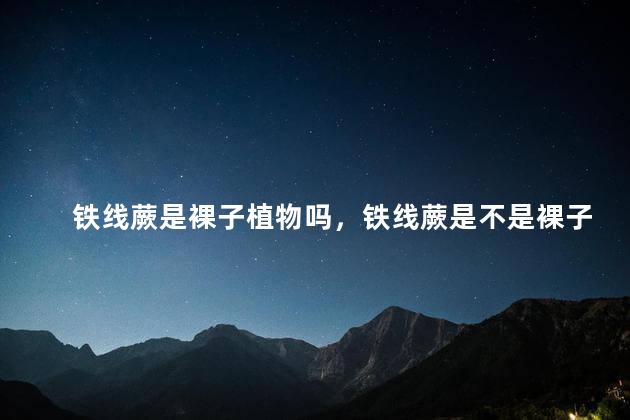 铁线蕨是裸子植物吗，铁线蕨是不是裸子植物
