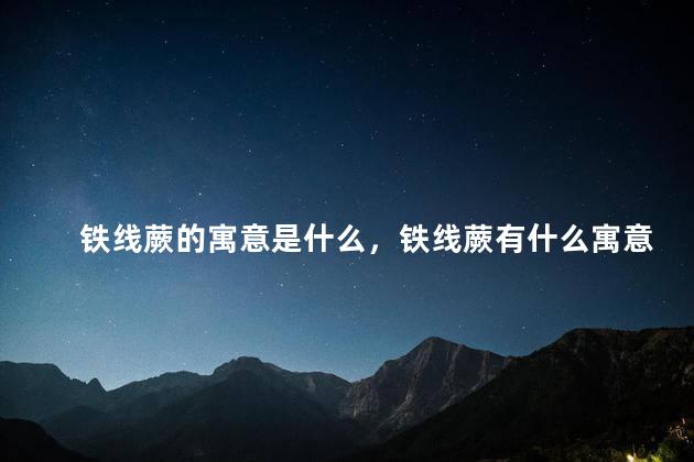 铁线蕨的寓意是什么，铁线蕨有什么寓意