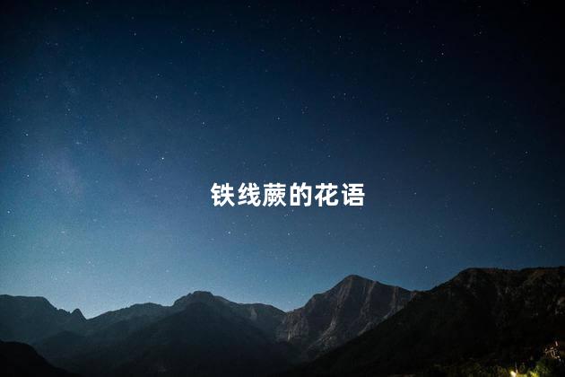 铁线蕨的花语，铁线蕨花语是什么
