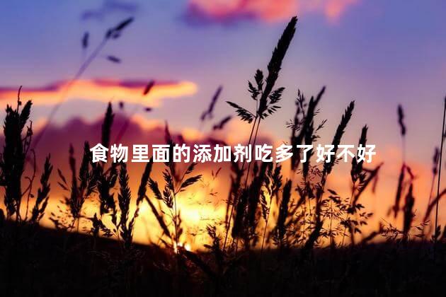 食物里面的添加剂吃多了好不好，食物添加剂吃多了会怎样