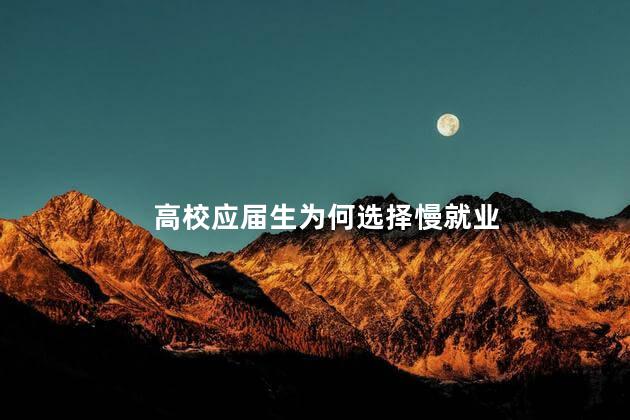 高校应届生为何选择慢就业，高校应届生慢就业的原因