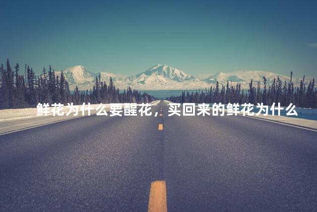 鲜花为什么要醒花，买回来的鲜花为什么要醒花