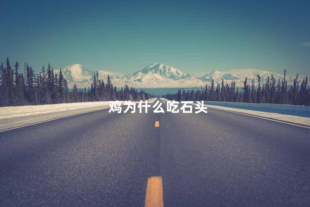 鸡为什么吃石头，鸡肚子为什么会有石头