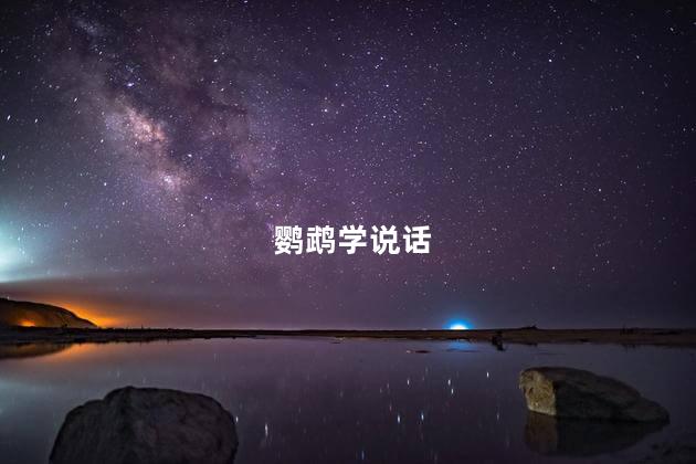 鹦鹉学说话,鹦鹉说话教程