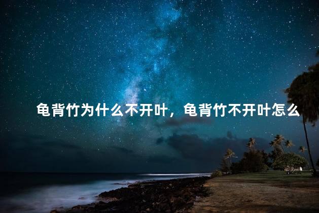 龟背竹为什么不开叶，龟背竹不开叶怎么回事